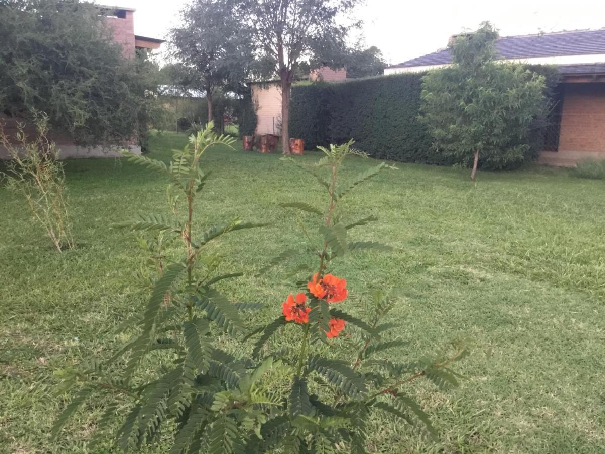 Apartamento La Soleada